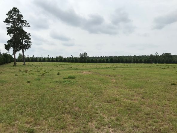 Williston, SC Land - Zoned for Junkyard: 12 SC Highway 39, Williston, SC 29853